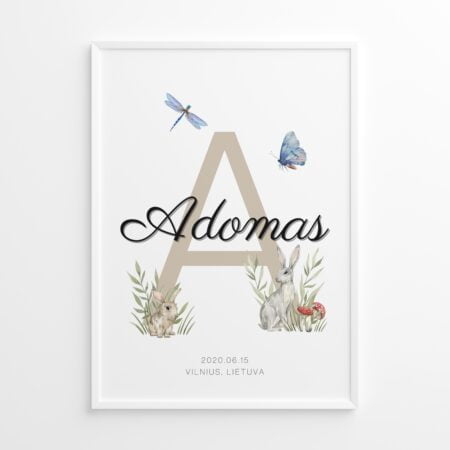 Personalizuotas paveikslas "Miške" Nr.2