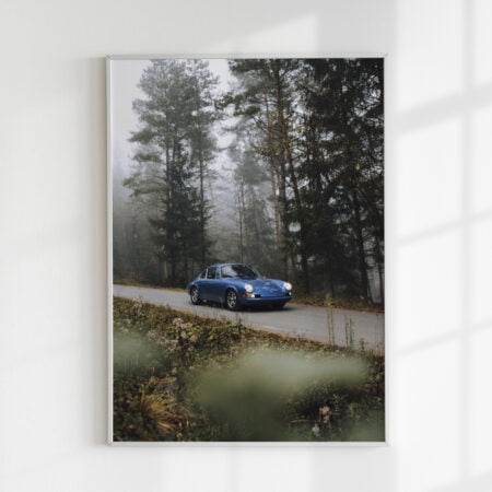 Paveikslas "Porsche miške"